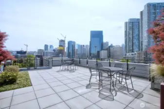 3 of 3 community rooftop view decks