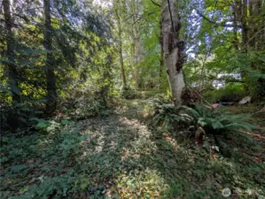 Back part of property.
