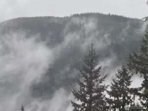 Misty Mountains in the winter