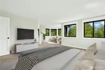 The sellers installed Hunter Douglas blinds in all rooms and some have remote controls.