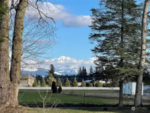 Majestic Mt Baker view off your back deck awaits! Exceptional 3br/1.75ba 1300+sf home in Lynden located in the sought after Royal Coachman Estates 55+ Community. Sparkling clean, roof /gutters cleaned, mature landscaping, 2 outbuildings, great open floor plan. Fantastic location .
