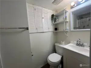 basement bathroom