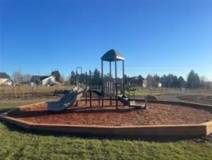 CHR Playground
