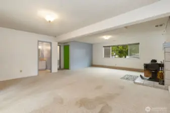 Large rec room on lower level with a wood stove.