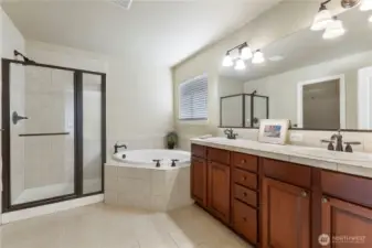 Beautiful Primary bath!