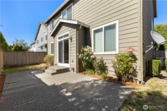 Low maintenance back yard.