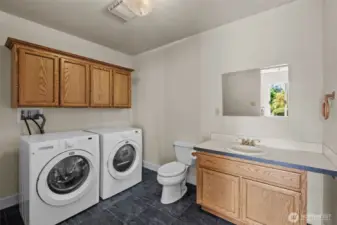 Basement laundry and bath. There is also a very large closet here.