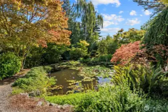 A lovely pond with water lilies and a waterfall.