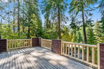 Large Deck off Living