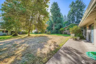 Back Yard and Patio