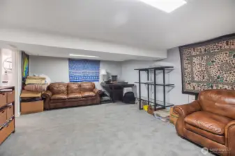 Large downstairs family room