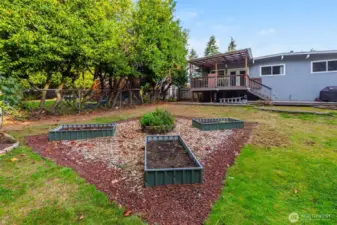 Large backyard