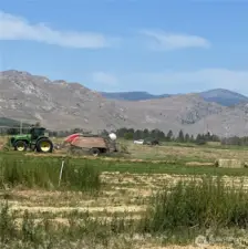 Baling of the alfalfa crop