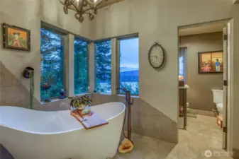 Main bath with a view.