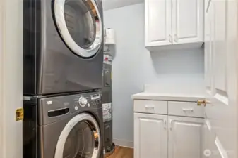 Luxurious Laundry/Utility Pantry Storage