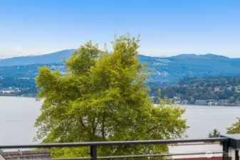 Stunning lake views from select homes — a front-row seat to nature’s changing canvas every season.