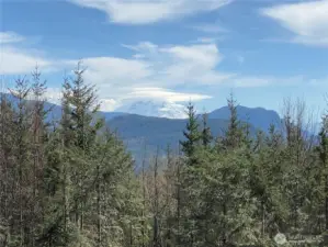 Beautiful views of Mt Rainier.