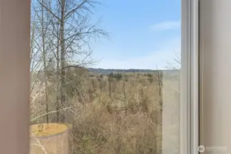 Serene outlook from the upper level overlooking surrounding natural scenery