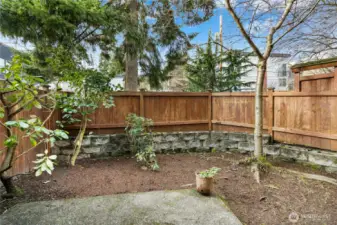 ADORABLE fenced in backyard