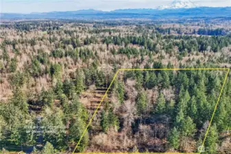 33507 84th Ave E, Eatonville is just 10-15 minutes to South Hill in Puyallup.