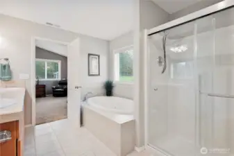 Primary bathroom