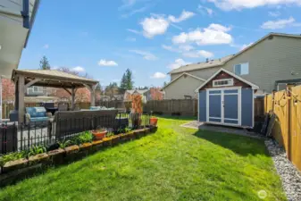 Storage Shed in Backyard