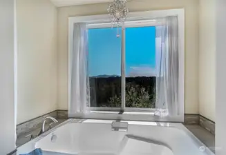 Primary bath soaking tub with view