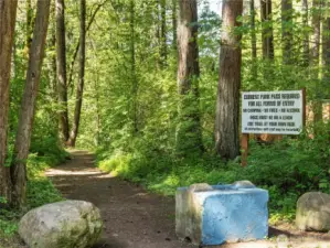This trail leads down to the river...