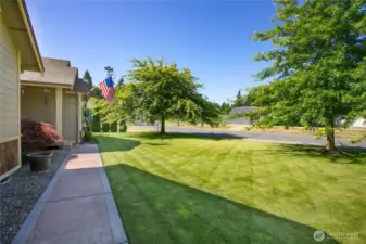 Front yard with walkway to entry