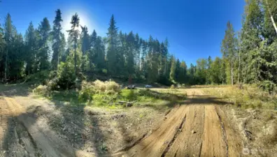 Partially cleared for building site.