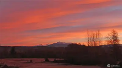 A Masterpiece ~ Photo from the Home