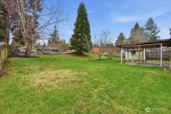 The large backyard has plenty of room for gardening or hobbies.