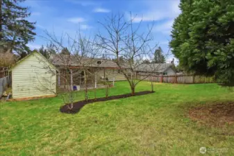 There is a storage shed.