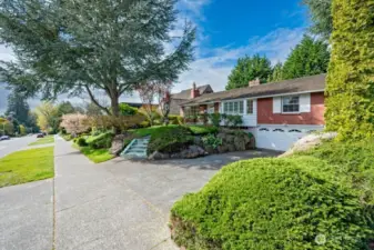 Looking south along Magnolia Boulevard. Could one find a better place to walk, ride or just move around?