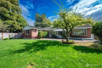 Backyard looking NE. Note ample size of patio.
