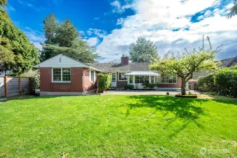 Looking east to house. Backyard is level and huge.