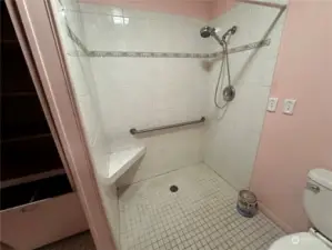 View of the walk-in shower.