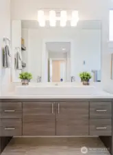 Primary bathroom of one of the Avenue plans.  All homes have primary bathrooms that feature walk in tiled showers + built in shelving for storage + modern cabinetry + natural light + quartz counters and Grohe fixtures.