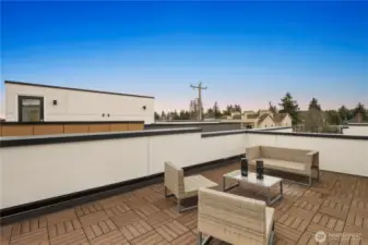 Large rooftop terraces on all homes.  Included are composite decking flooring + outdoor TV hookups + so much space for gardening.  Some owners have added large storage units as well as pergolas to this amenity.  Views of the Olympics from all homes and some of the Avenue homes have views of Mt. Rainier.