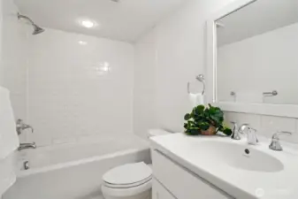 Lower level full bath