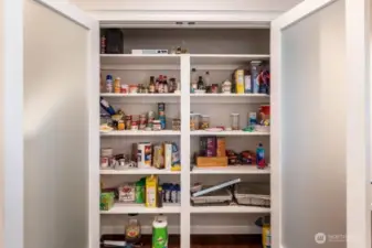 Lots of room in the pantry.