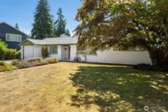 Lots of beautiful yard