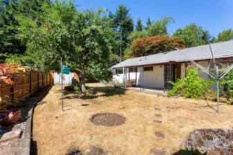 Another view of the fully fenced backyard with a large fruit tree and grapes.  In the forefront is a cement pond