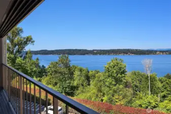 View from deck