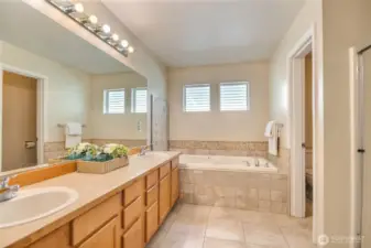 Primary ensuite 5pcs bath