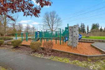 Common area playground
