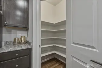 Kitchen, True Pantry, Luxury Vinyl Plank Flooring, High Ceilings