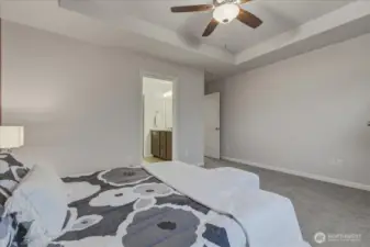 Primary Bedroom, Ceiling Fan, W2W Carpet, Ensuite Primary Full Bath & Walk-In Closet