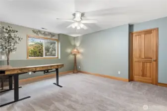 additional space downstairs, potential 4th bedroom with closet and ensuite bathroom