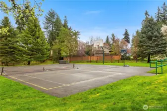 sport courts